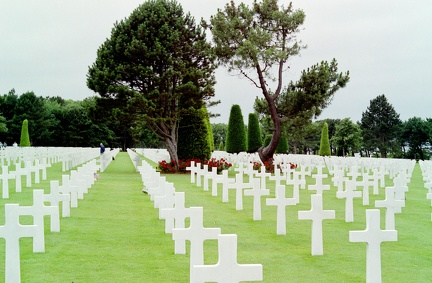 Normandy Crosses2